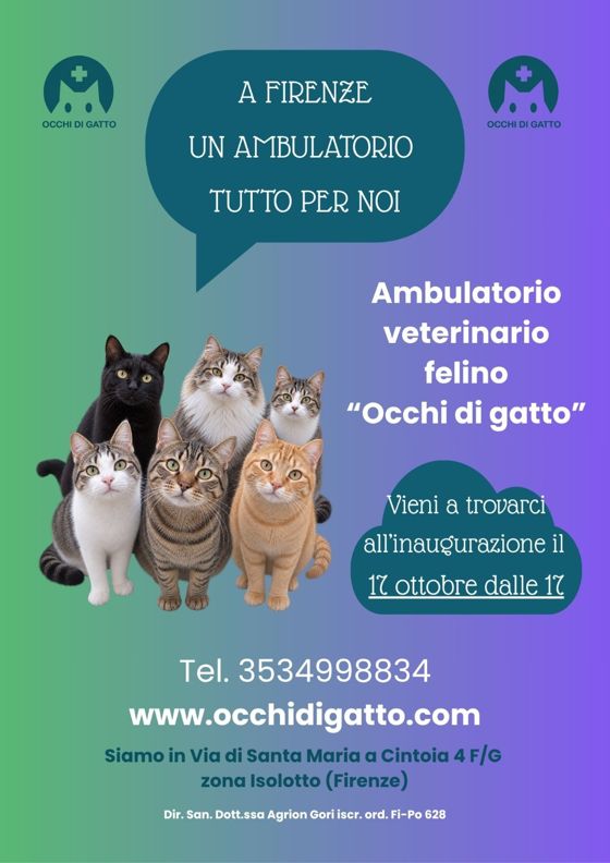 Volantino: a Firenze un ambulatorio tutto per noi. Inaugurazione dell'Ambulatorio Veterinario Felino Occhi di Gatto, sabato 17 ottobre dalle 17, Via di Santa Maria a Cintoia 4 f/g, zona Isolotto